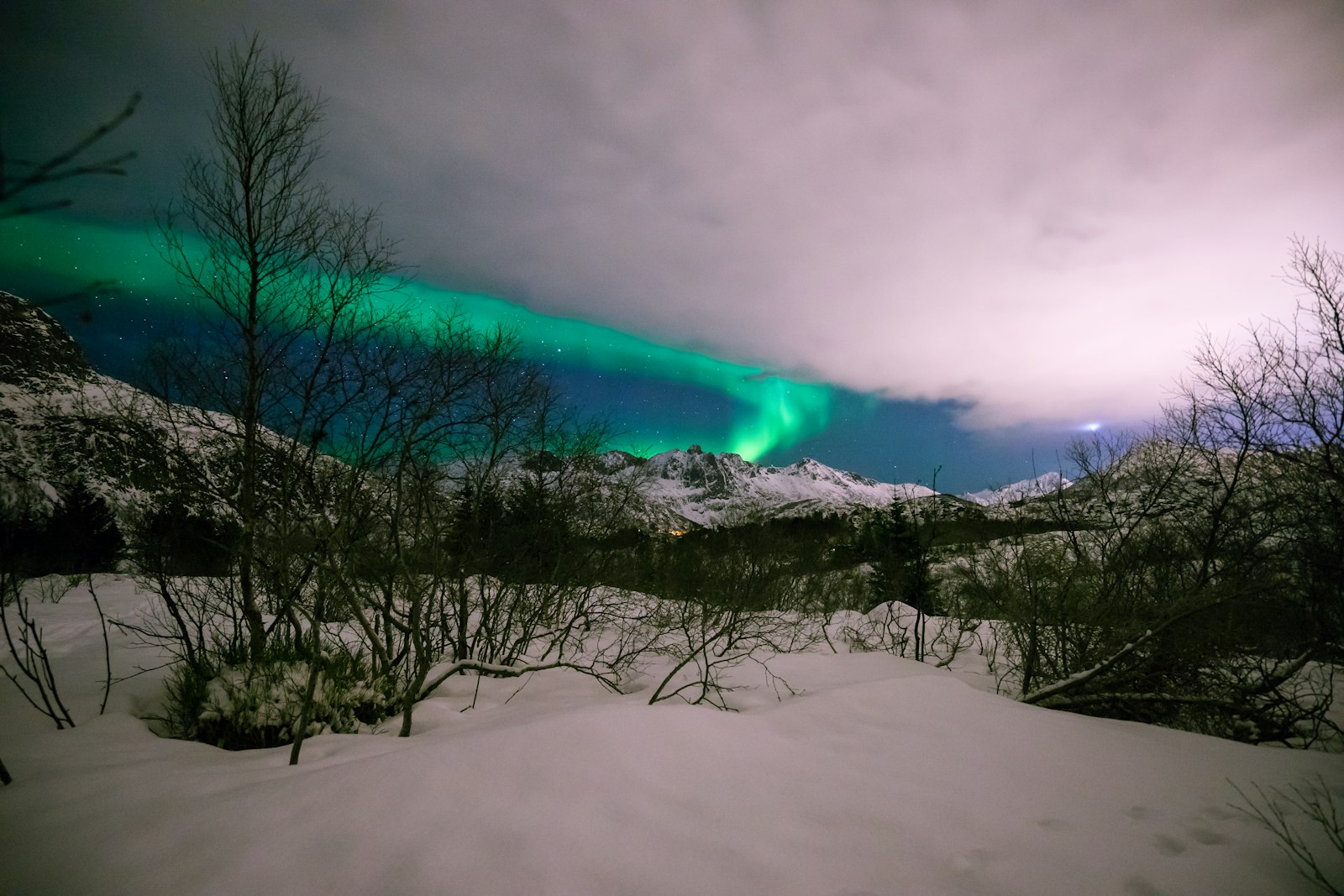 Aurora borealis over snowy mountains in Svolvær, Lofoten Islands, Norway