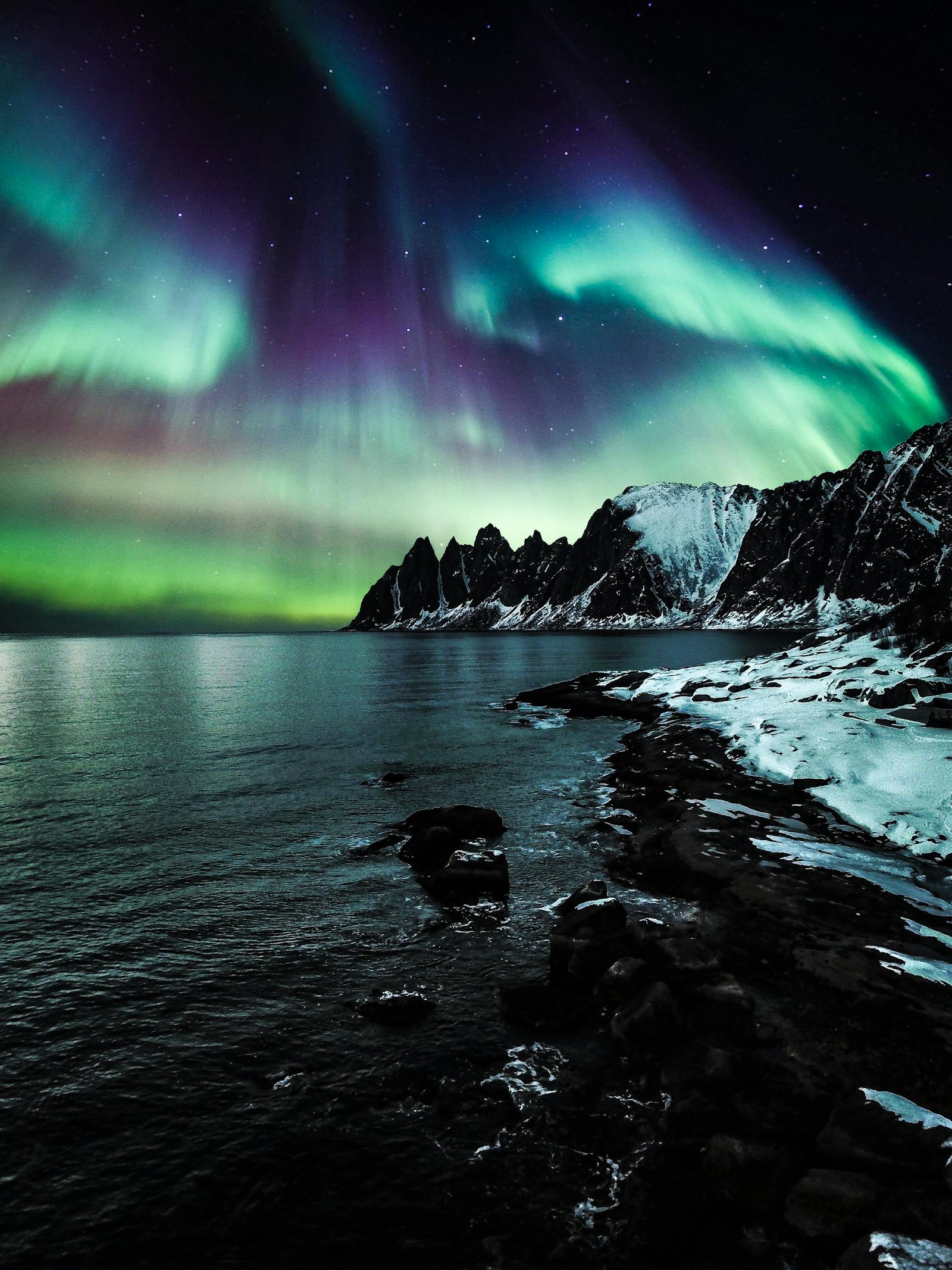 Vivid green and purple aurora over a fjord in Senja, Troms, Norway